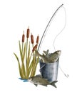Watercolor fishing illustration. Hand drawn fishing rod, reed plant and metal bucket of fish isolated on white