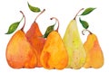 watercolor five pears