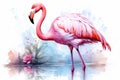 watercolor Flamingo watercolor pink flamingo in splashes Tropical exotic bird rose flamingo