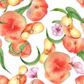 Watercolor flat peaches with leaves and flowers seamless pattern isolated on white. Fruits and flowers pattern painted Royalty Free Stock Photo