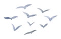Watercolor flock of birds illustration. Hand painted abstract flying seagulls silhouette isolated on white background Royalty Free Stock Photo