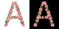 Watercolor floral alphabet of roses, Monogram, capital letter A isolated on black and white background.