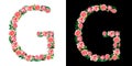 Watercolor floral alphabet of roses, Monogram, title letter G isolated on black and white background.