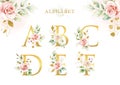Watercolor floral alphabet set of aA  B  C  D  E  F with golden leaves Royalty Free Stock Photo