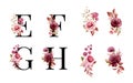 Watercolor floral alphabet set of E, F, G, H with red and brown flowers and leaves. Flowers composition for logo, cards, branding Royalty Free Stock Photo