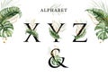 Watercolor alphabet set of X  Y  Z  & with tropical leaves and gold leaves Royalty Free Stock Photo