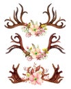 Watercolor floral antler.