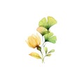 Watercolor floral arrangement. Transparent yellow Rose with green ginkgo leaves isolated on white. Hand painted modern