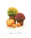 Flowers in pots and pumpkins Royalty Free Stock Photo