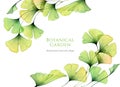 Watercolor floral background. Card template with transparent green leaves and place for text. Hand painted artwork with