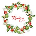 Watercolor floral background with strawberries. Summer card. Frame with watercolor strawberries. Royalty Free Stock Photo