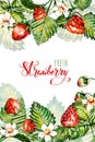 Watercolor floral background with strawberries. Summer card. Frame with watercolor strawberries. Royalty Free Stock Photo