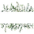 Watercolor floral border of eucalyptus branches, seeds and leaves. Hand painted frame of silver dollar plants isolated