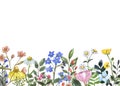 Watercolor floral border with hand painted wildflowers, herbs, leaves, isolated on white background. Botanical flower frame Royalty Free Stock Photo