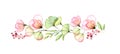 Watercolor floral border of roses, leaves and eucalyptus branch. Transparent flowers in horizontal line. Hand drawn