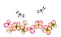 Watercolor floral border. Transparent overlapping pink flowers and dragonfly isolated on white. Botanical summer