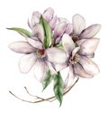 Watercolor floral bouquet of magnolias, leaves and dry branches. Hand painted flowers and plants isolated on white