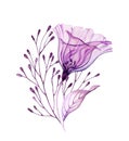 Watercolor floral bouquet in purple. Hand painted artwork with transparent violet flower and berries isolated on white