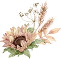 Watercolor floral bouquet. Sunflower, dill, ears of wheat. Thanksgiving illustration. Harvest and fall concept.