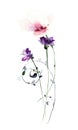 Watercolor floral bouquet on white background. Violet small flowers, pastel pink poppy, blue curl twigs, wild herbs.