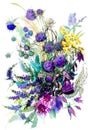 Watercolor floral bouquet of wildflowers, bright summer background. Splatter stains, ink drawing