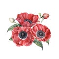 Watercolor floral card with red anemones. Hand painted bouquet with flowers, buds and leaves isolated on white Royalty Free Stock Photo