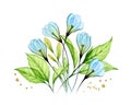 Watercolor floral composition with snowdrops. Blue transparent flowers and leaves. Hand painted isolated design Royalty Free Stock Photo