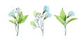 Watercolor floral compositions collection. Three bouquets with snowdrop flowers and fresh green leaves. Hand painted