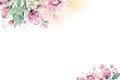 Watercolor Floral decoration spring summer background with blossom protea flower. Wedding decoration frame with floral