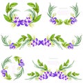 Watercolor floral design elements with leavesand blueberries. Brushes, borders, wreath,garland. Vector