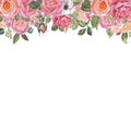 Watercolor floral drop with hand painted pink roses and green leaves on white background, isolated. Spring Flowers frame Royalty Free Stock Photo