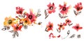 Watercolor floral elements for design of greeting cards, invitations