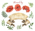 Watercolor red poppy and green leaves set, isolated on white background. Hand painted floral elements and banner for cards design Royalty Free Stock Photo