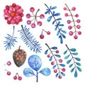 Watercolor floral elements set. Hand painted branches, flowers, plants and berries Royalty Free Stock Photo