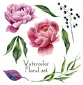 Watercolor floral elements set. Vintage leaves, eucalyptus, berries and peony flowers isolated on white background. Hand