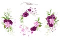 Watercolor floral frame and arrangements elements of purple roses