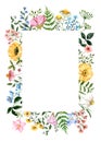 Watercolor floral frame with hand-painted summer meadow wildflowers, herbs, grass, leaves, isolated on white background Royalty Free Stock Photo