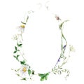 Watercolor floral frame of meadow flowers, grasses and chamomiles. Hand painted illustration isolated on white