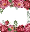 Watercolor floral frame with peony and greenery. Hand painted border with flowers with leaves, branch of eucalyptus and