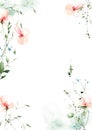 Watercolor floral frame on white background. Gentle peach color wild flowers, green herbs, leaves and twigs. Royalty Free Stock Photo