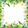 Watercolor floral frame with chamomile, yellow flowers, clover and leaves