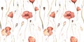 Watercolor floral hand drawn seamless pattern with delicate illustration of blossom scarlet poppies, wildflowers, herbs Royalty Free Stock Photo