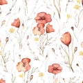 Watercolor floral hand drawn seamless pattern with delicate illustration of blossom scarlet poppies, yellow wildflowers Royalty Free Stock Photo