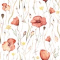 Watercolor floral hand drawn seamless pattern with delicate illustration of blossom scarlet poppies, yellow wildflowers Royalty Free Stock Photo
