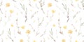 Watercolor floral hand drawn seamless pattern with delicate illustration of blossom yellow wildflowers, herbs, simple Royalty Free Stock Photo