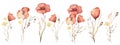 Watercolor floral hand drawn set with delicate illustration of bouquets with blossom scarlet poppies, yellow wildflowers