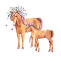 Watercolor floral horse illustration isolated on white background. Animal kids natural collection Royalty Free Stock Photo