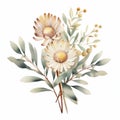Australian Floral Watercolor Wallpaper With Realistic Detail