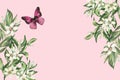 Watercolor floral watercolor illustration with leaves, blossoms and butterfly isolated on blush pink background