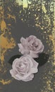 Watercolor floral illustration - pink roses with golden shapes for wedding stationary, greetings, wallpapers, fashion